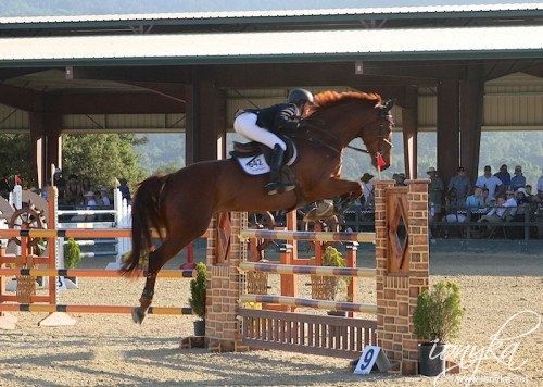 HorseShow3
