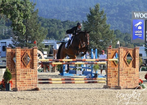 HorseShow5